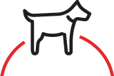 PEQUEÑOS ANIMALES